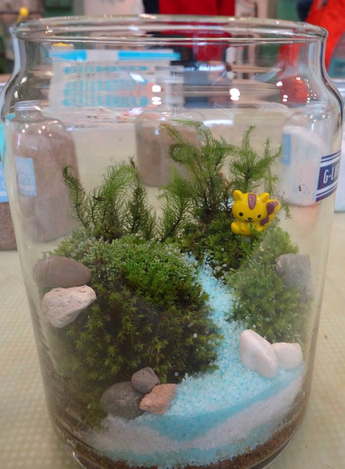 ワークショップ写真集 Koketerariumu ページ 苔テラリウムワークショップ のページ