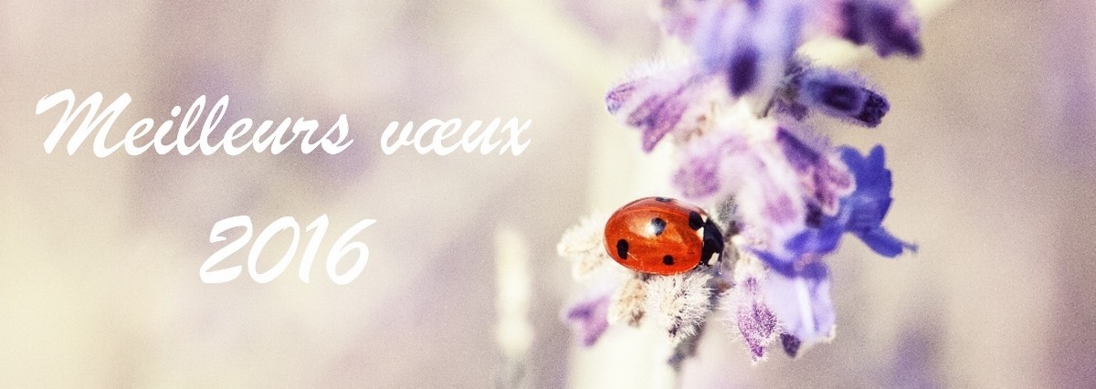 Coccinelle Porte Bonheur Joanne Rollier