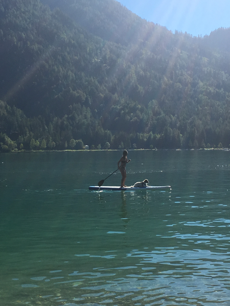 Standup Paddle at the Achensee the3leggeddogs seite!