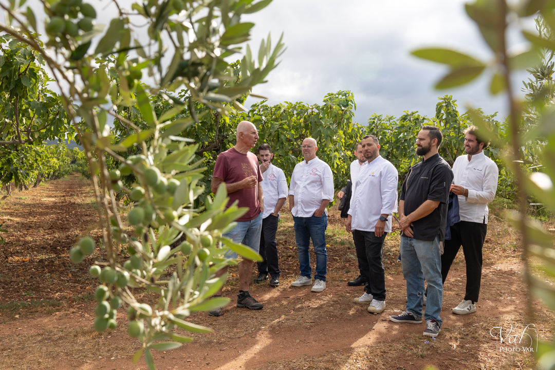 Des Chefs à la Figue de Solliès Pont !
