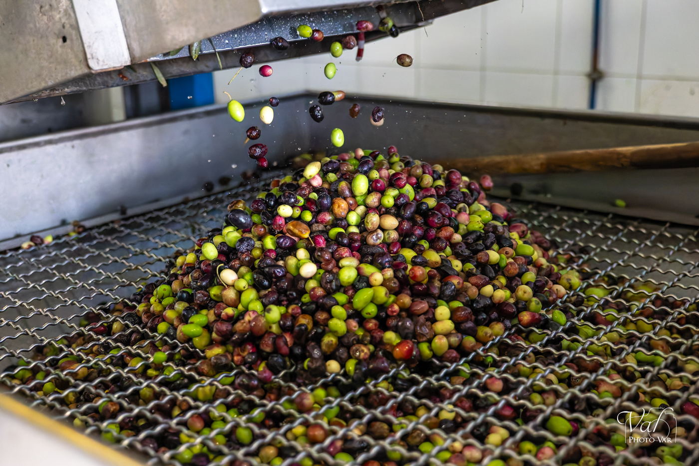 Transformation des olives en huile