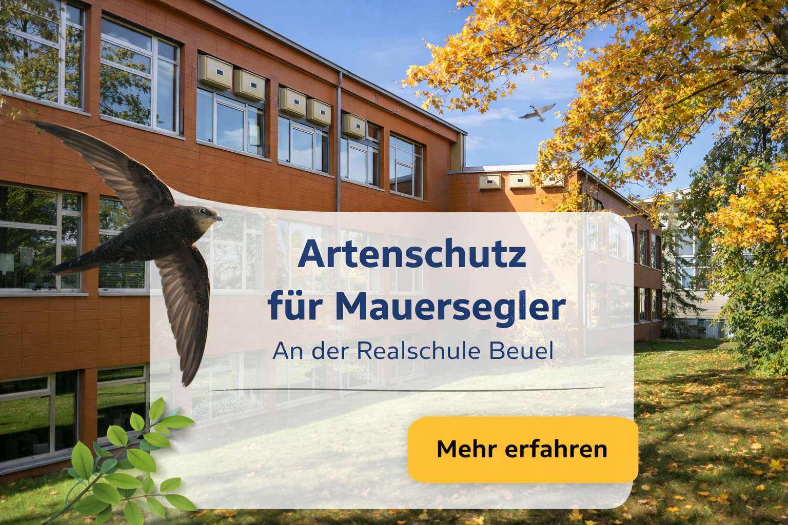 Artenschutz an der Realschule Beuel 🐦