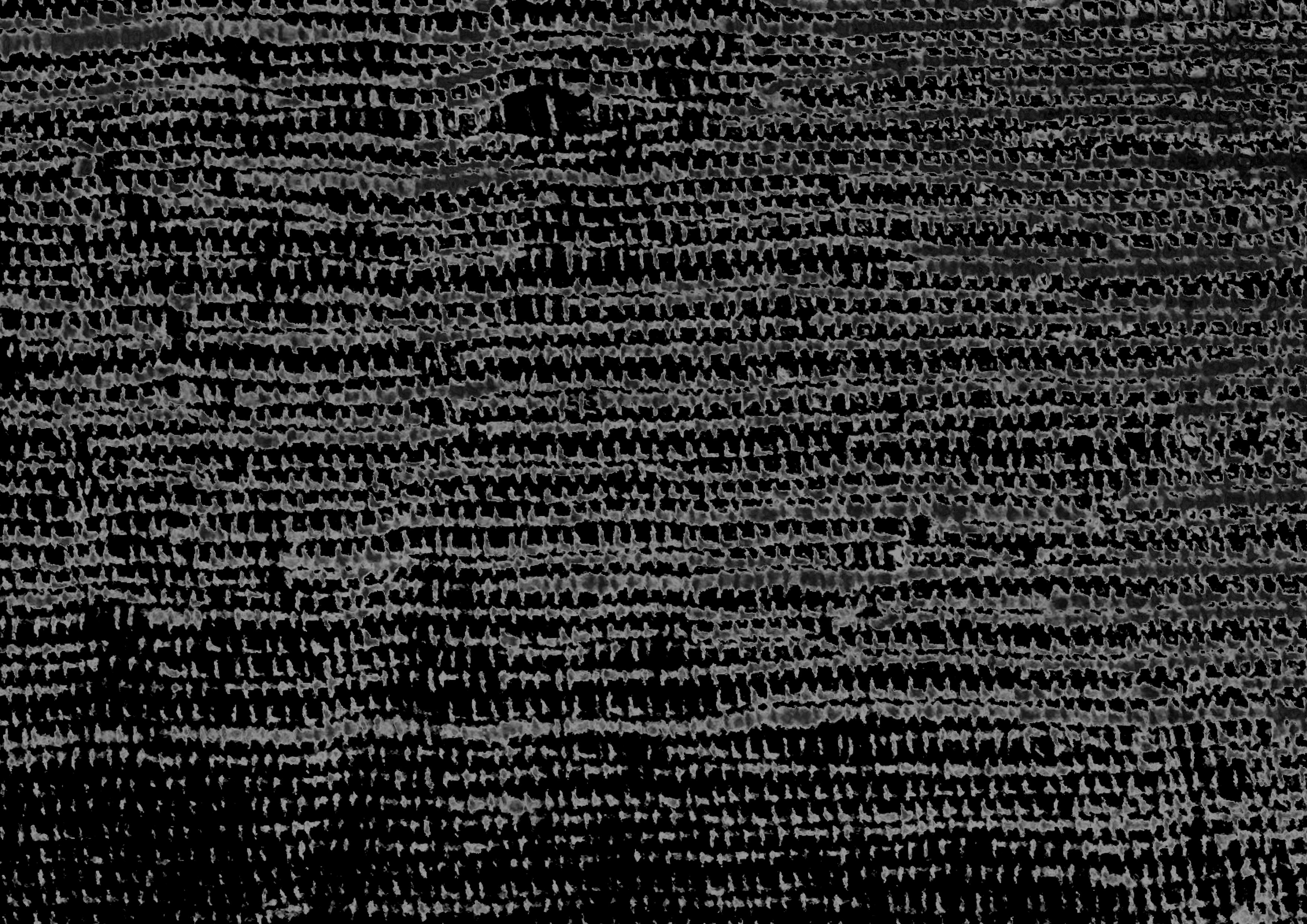 homo conexus Robert Menczel Guitarist & Composer