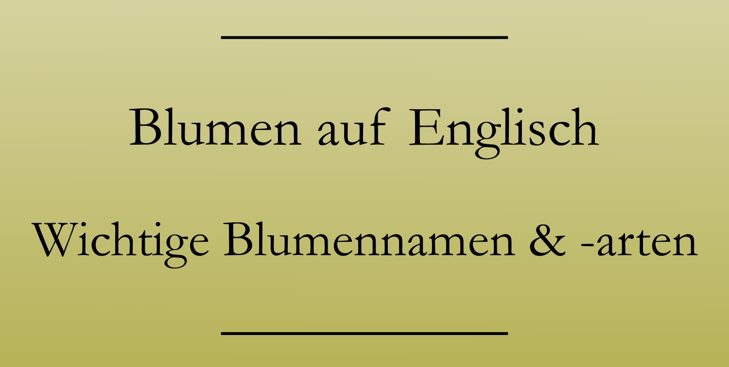 Blumen auf Englisch Liste der Blumennamen Englisch lernen