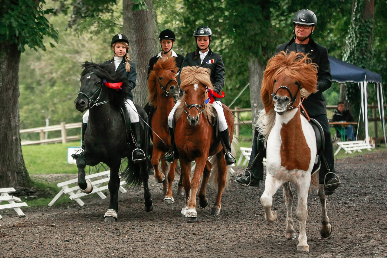 Championnat de France d'Equitation Islandaise