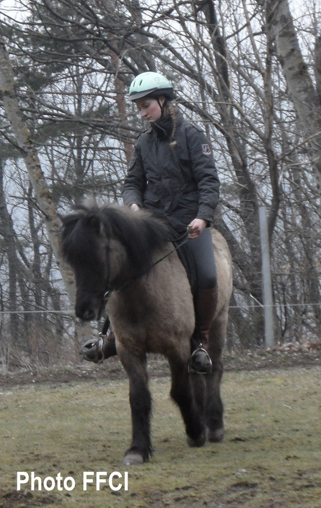 Stage d'équitation : comment travailler son cheval en extérieur