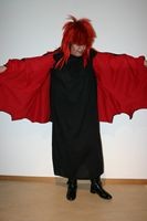 Dracula/Fledermauskleid, Fr. 28.-