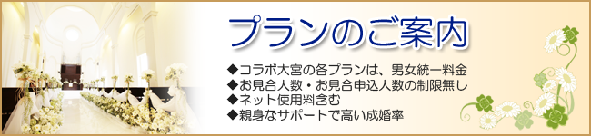 結婚相談所コラボ大宮　プランのご案内