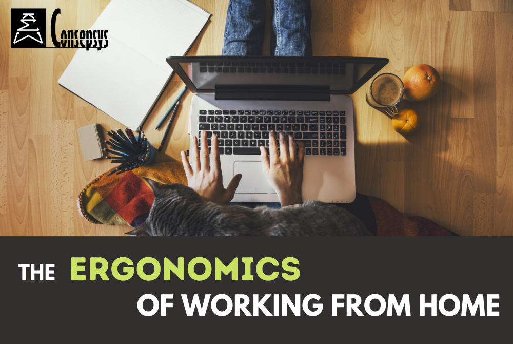 The Ergonomics of Working from Home