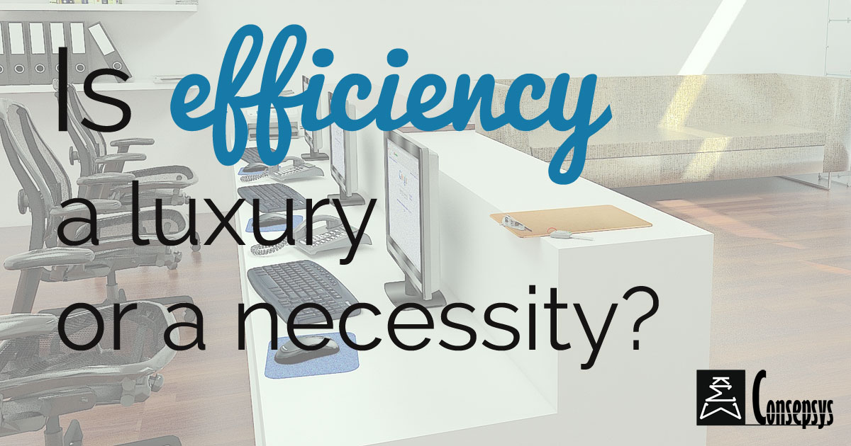 Is Efficiency a luxury or a necessity?