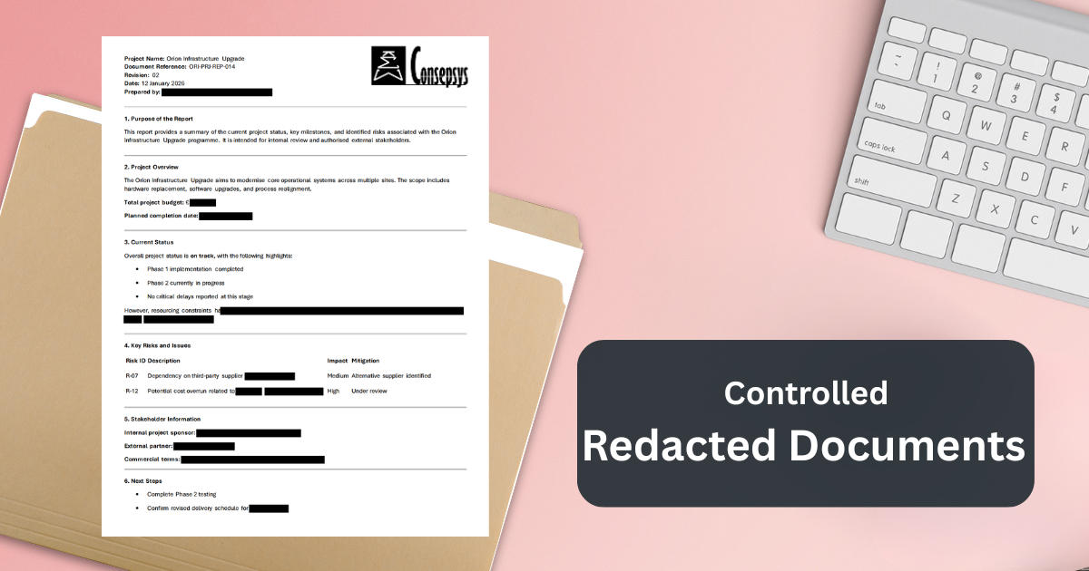 Redacted Documents in Document Control: Definition, Risks and Best Practices