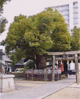 阿遅速雄神社