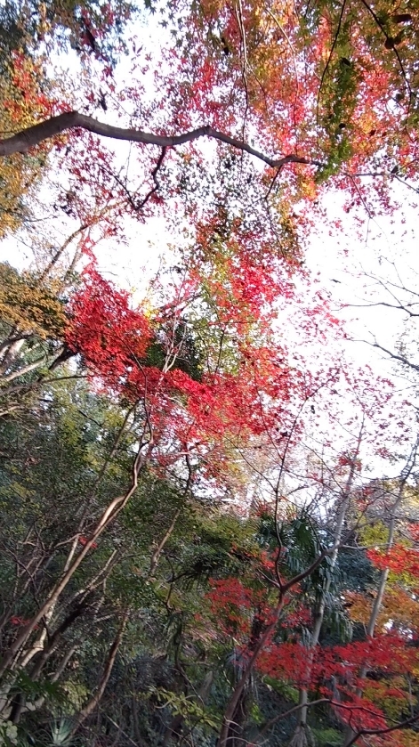 感染症への予防