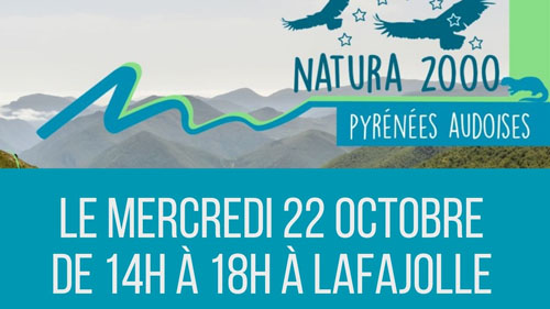 A la rencontre de la perdrix grise des Pyrénées