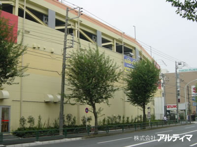東京都小平市（ホームセンター）; 2008年4月； アルティマグリーンライン（ストライプ）
