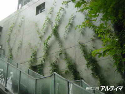 東京都世田谷区（集合住宅）；2007年3月；アルティマグリーンライン（ダイヤクロス）