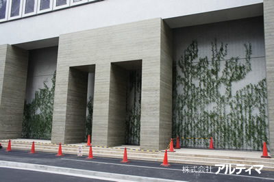  東京都港区（某企業本社ビル） ； 2010年11月；アルティマグリーンライン (ストライプ  )