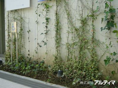東京都港区（共同住宅）； 2008年7月； アルティマグリーンライン（ストライプ）