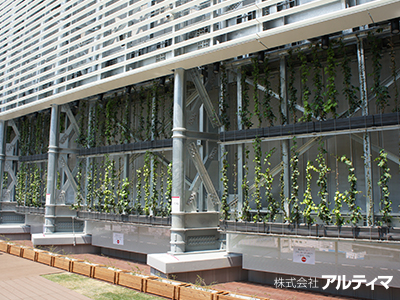 京王吉祥寺駅ビル（東京都吉祥寺市）；2014年2月；アルティマグリーンライン
