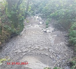 Pollution du Rhodon : Des substances chimiques détectées dans la rivière de notre quartier