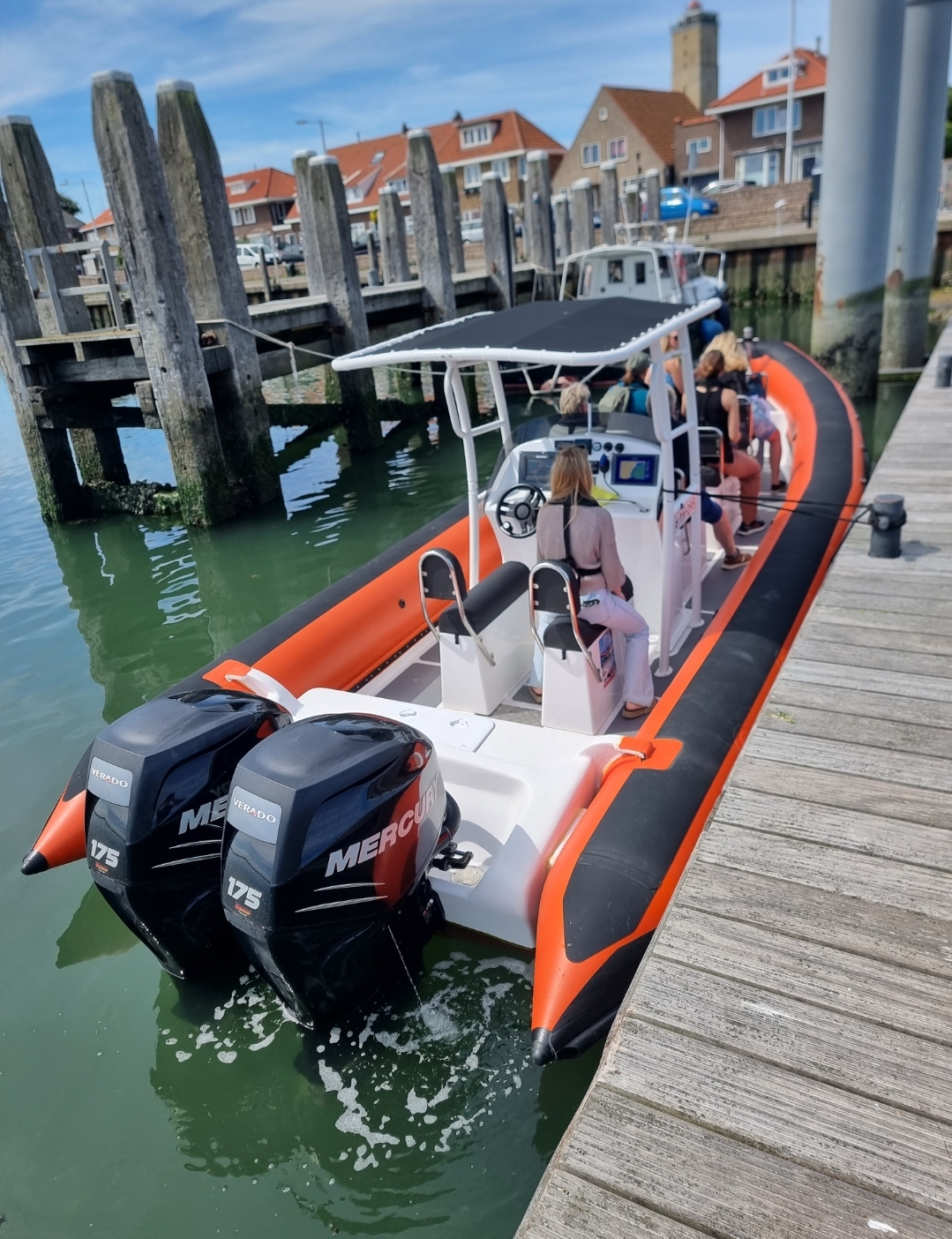 zeehonden rustend op de plaat in het Boomkesdiep bij Terschelling
