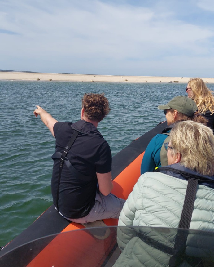 RIB-boot van I like Terschelling dichtbij de zeehonden op een zandbank in de waddenzee met schipper Douwe