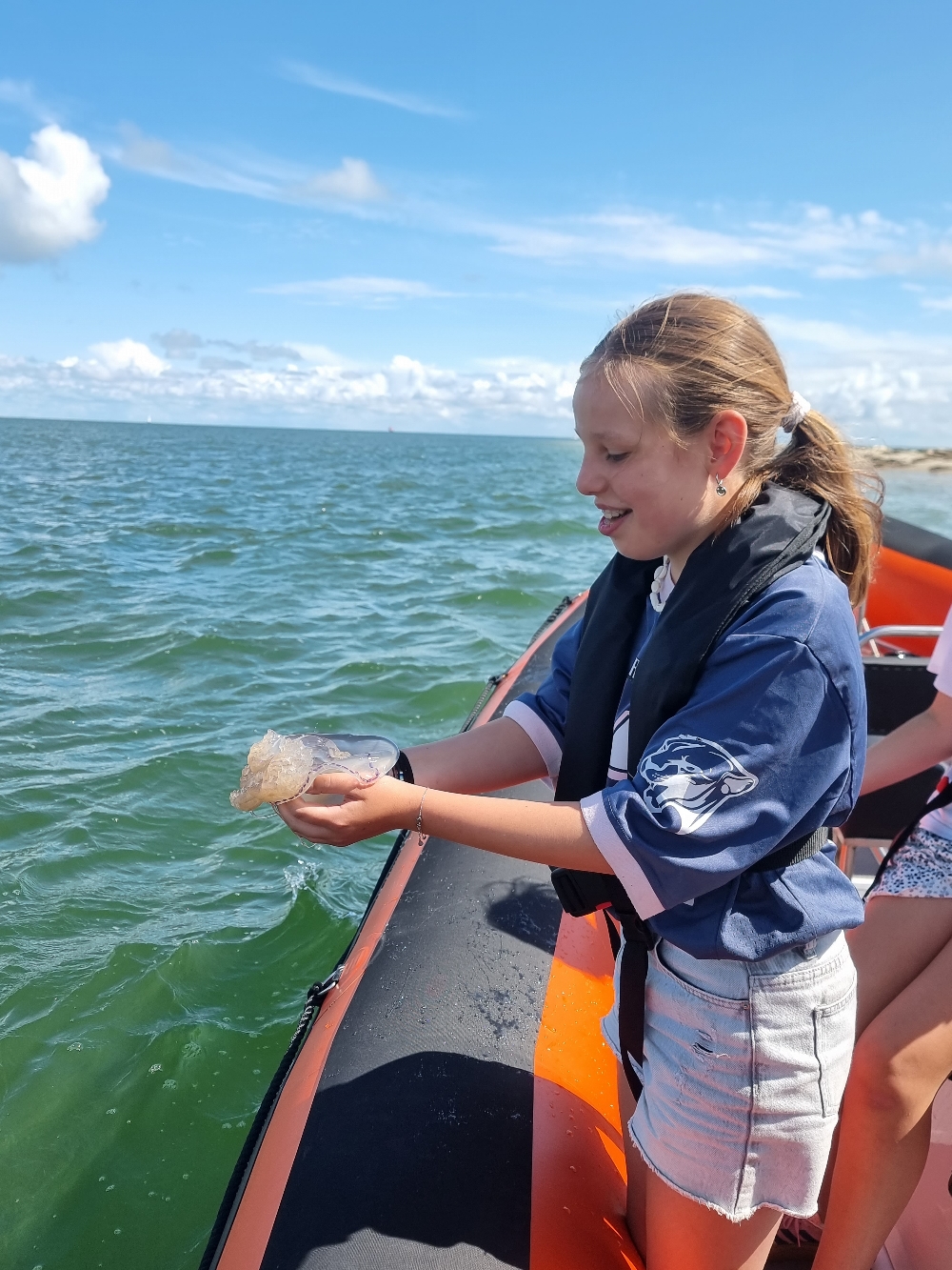 Ook veel kwallen dit jaar bij de zeehondenbank
