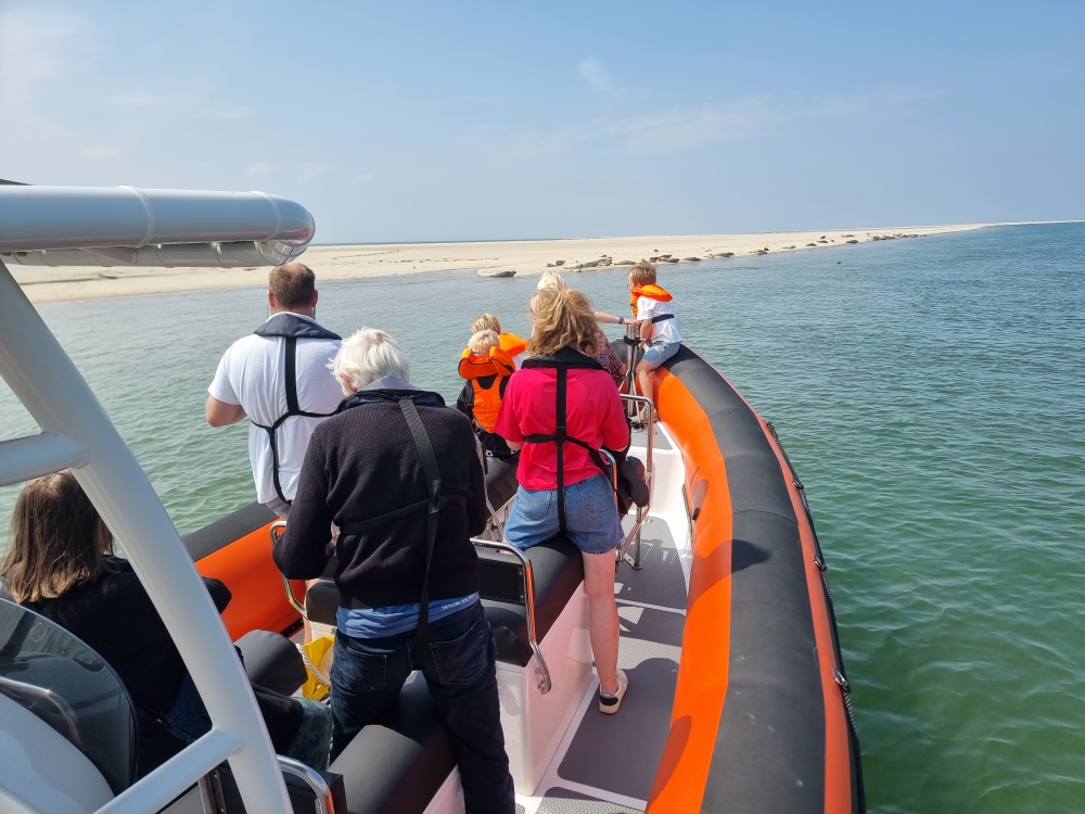 Passagiers op RIB-boot kijken uit naar zeehonden op de zandplaat bij Terschelling