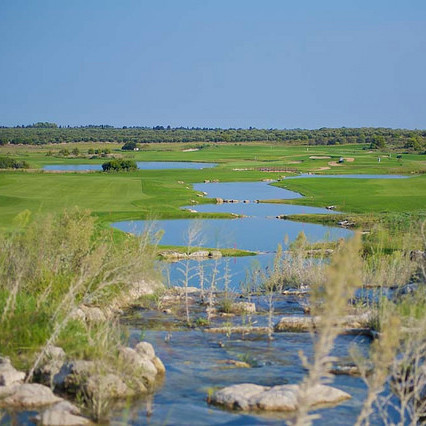 GC Acaya-Bermuda-Grass & stufiges Rough