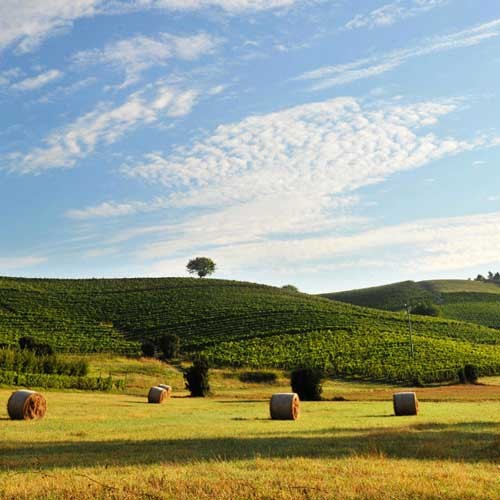 Touristisch noch wenig erschlossen: Piemonte