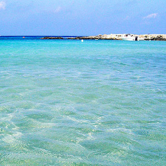 Normes des Caraïbes en Italie