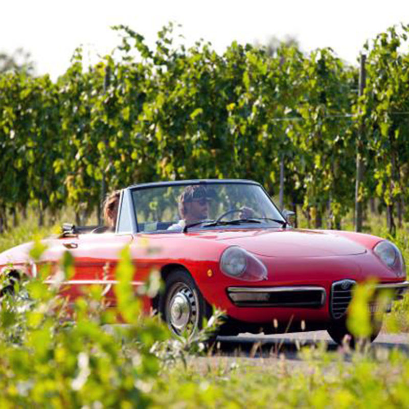 Cabrio Region Toscana - Vi kender de bedste ruter