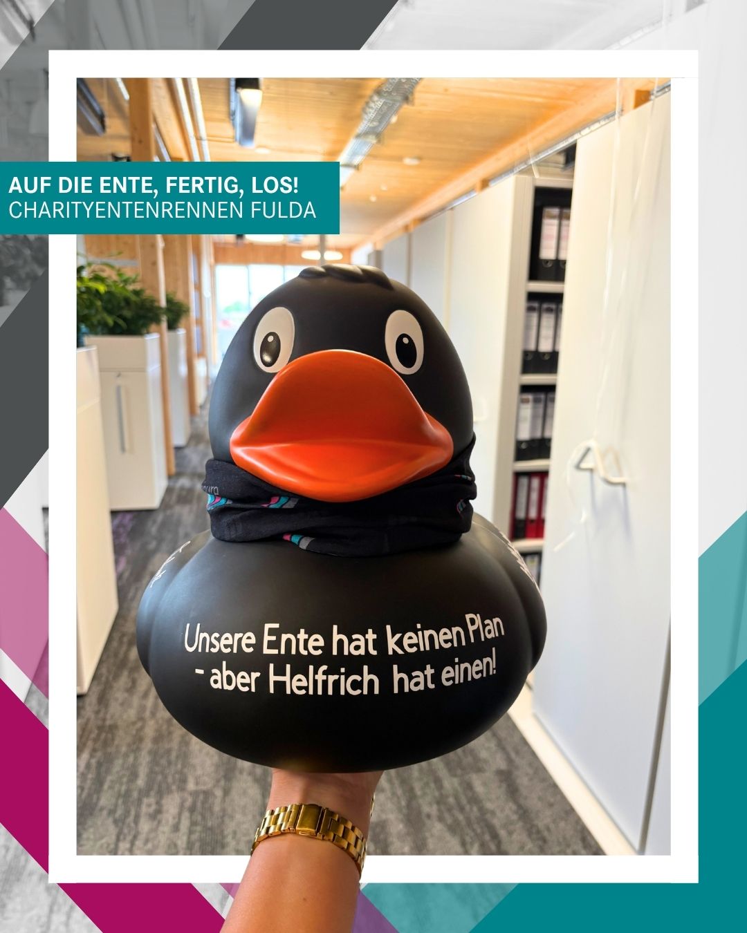 Auf die Ente, fertig, los!
