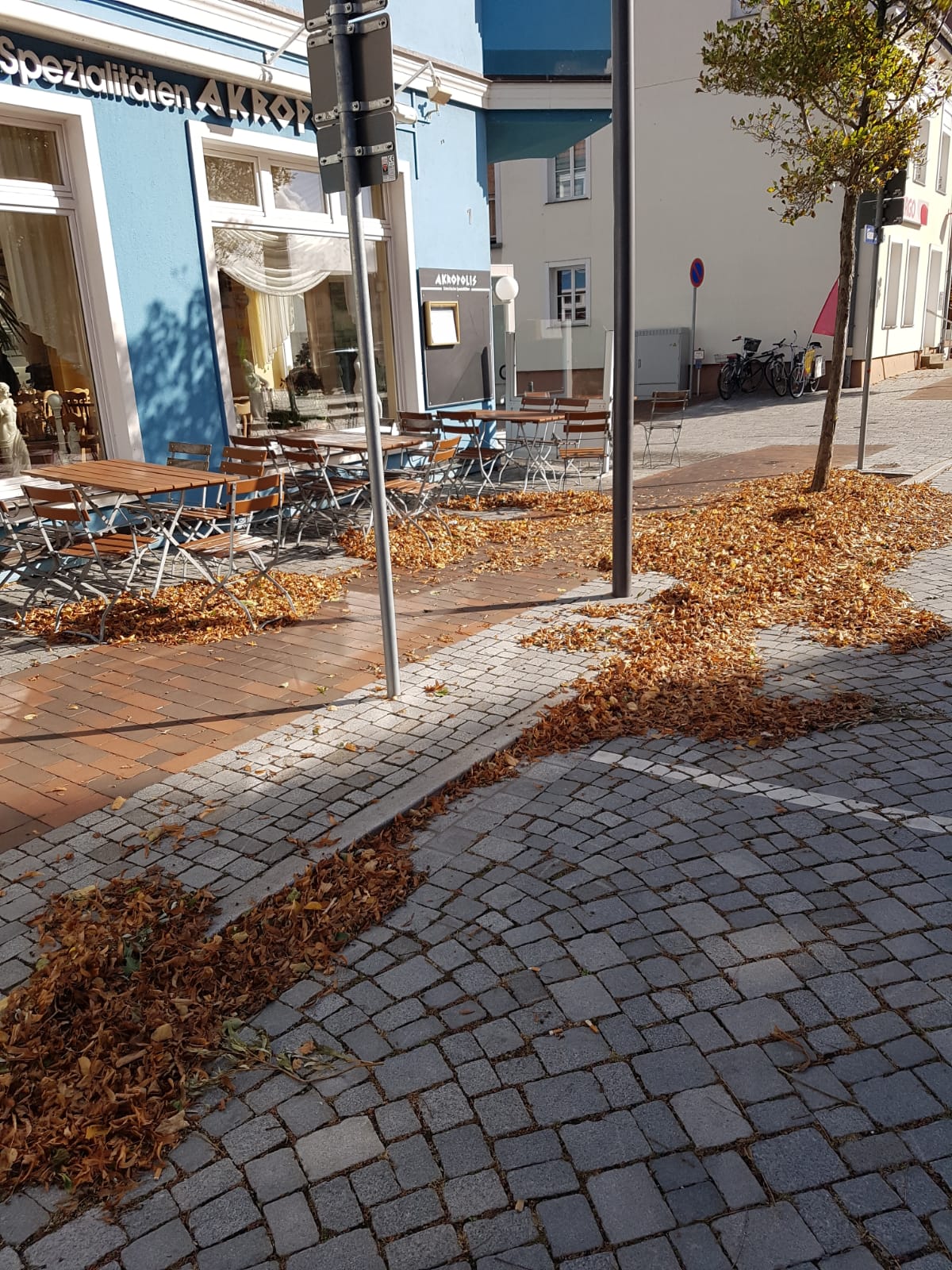 Laubentfernung  Am Markt Vorher