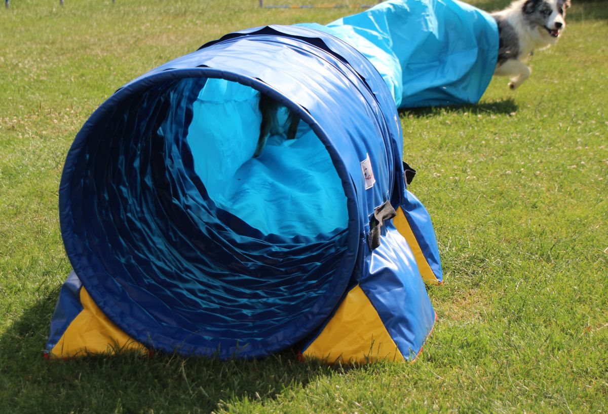 Callieway® Dog Agility Sacktunnel "Fun&Slip" / Agi Sack Tunnel für