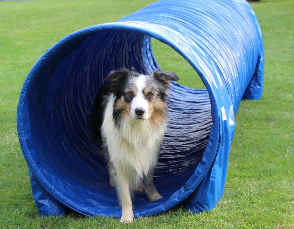 Tunnel Callieway® the smartest way!