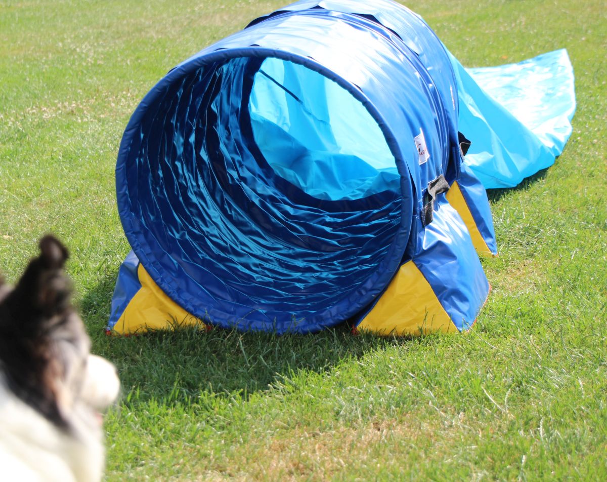Callieway® Dog Agility Sacktunnel "Fun&Slip" / Agi Sack Tunnel für