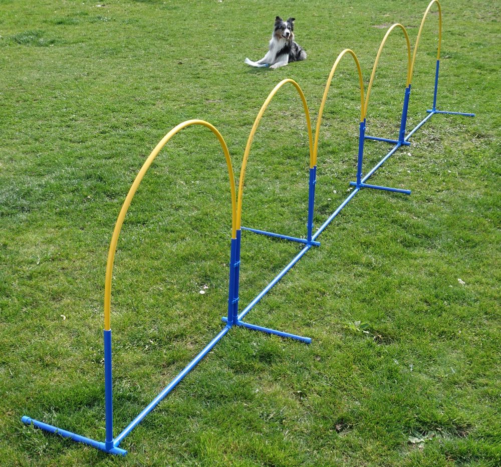 Hoopers Agility Callieway® the smartest way!
