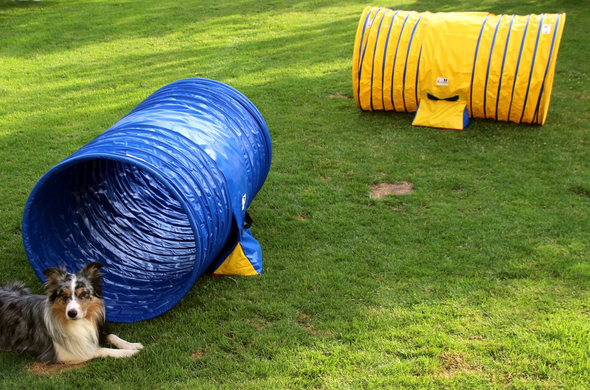 Tunnel Callieway® the smartest way!