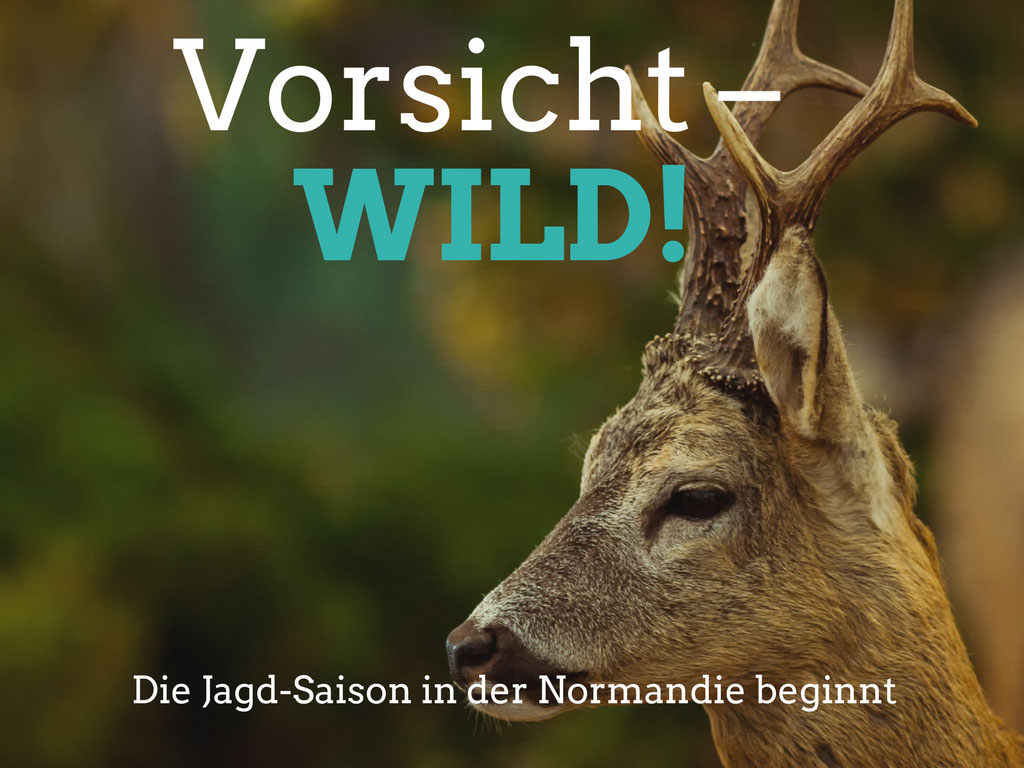 Vorsicht - Wild!