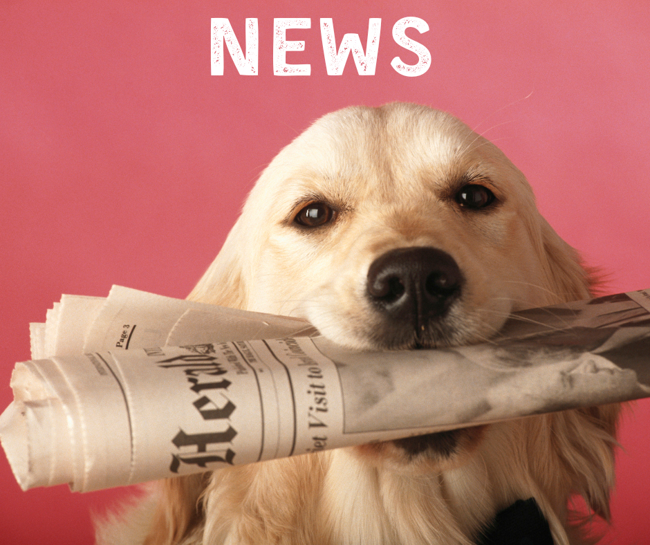 News-Ticker
