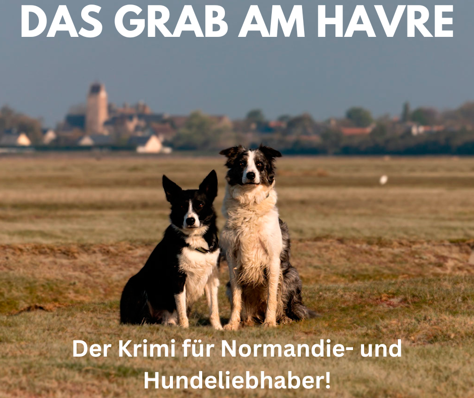 Das Grab am Havre – mein erster Roman