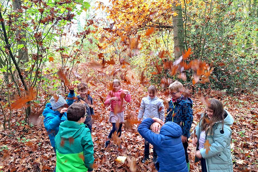 Naturdetektive im Wald