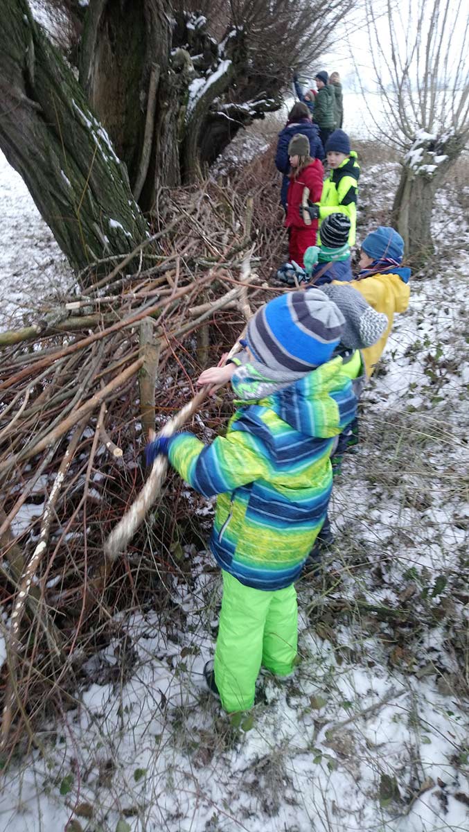 Benjeshecke NABU Xanten