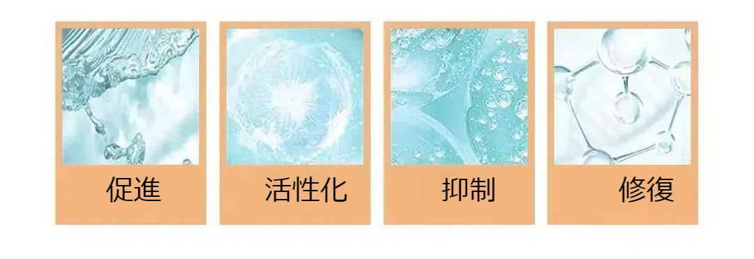 ペプチドが人体細胞に与える影響は？ 