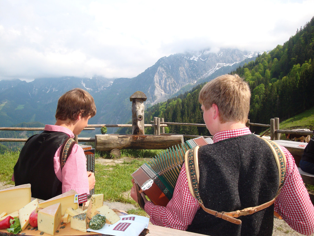 Rocheralm Abtenau