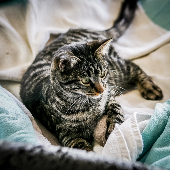 Grüße von... - Tierheim Immenstadt