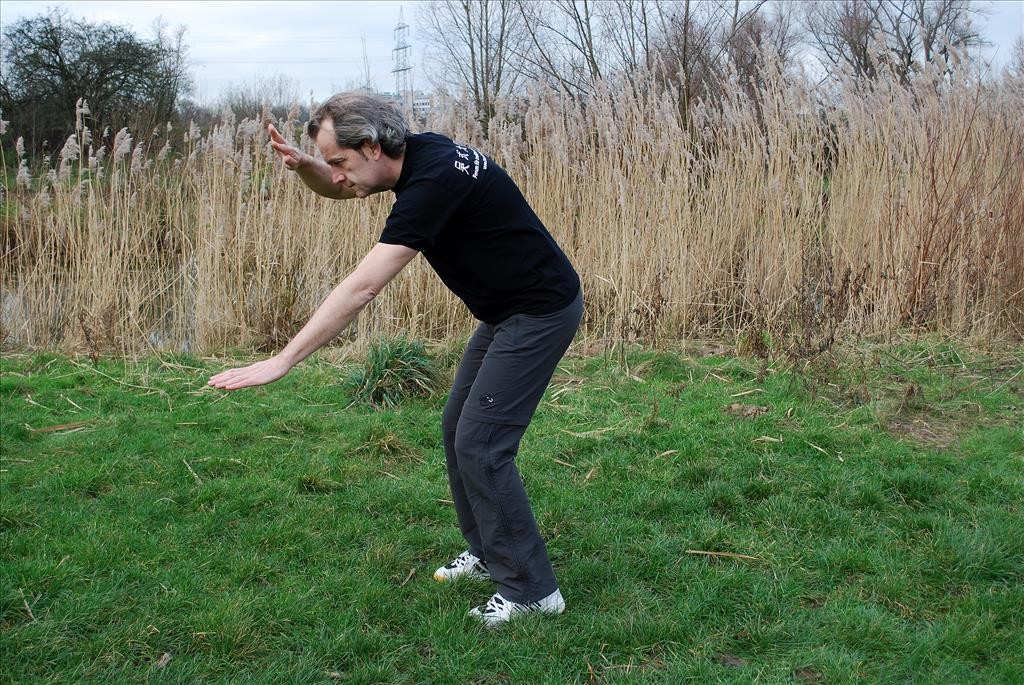 Wu Tai Chi – Einzelbild aus – Der Kranich breitet seine Flügel aus – Bai He Liang Chi