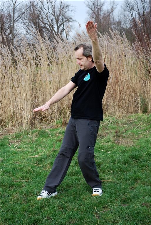 Wu Tai Chi – Einzelbild aus – Abfliegend (diagonal) – Xie Fei Shi