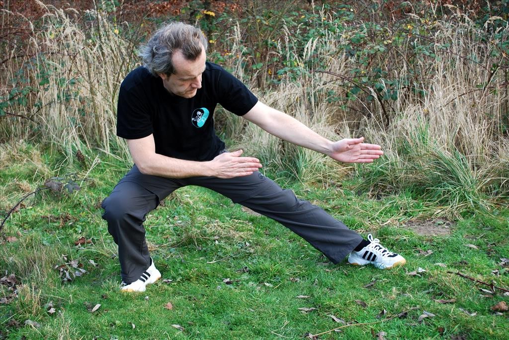 Wu Tai Chi – Einzelbild aus – Tiefe Stellung  – Xia Shi